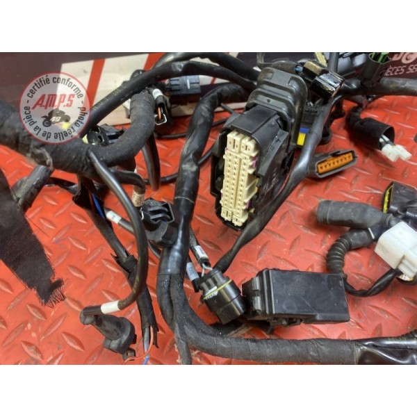 Faisceau électrique principale 