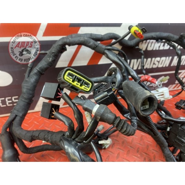 Faisceau électrique principale 