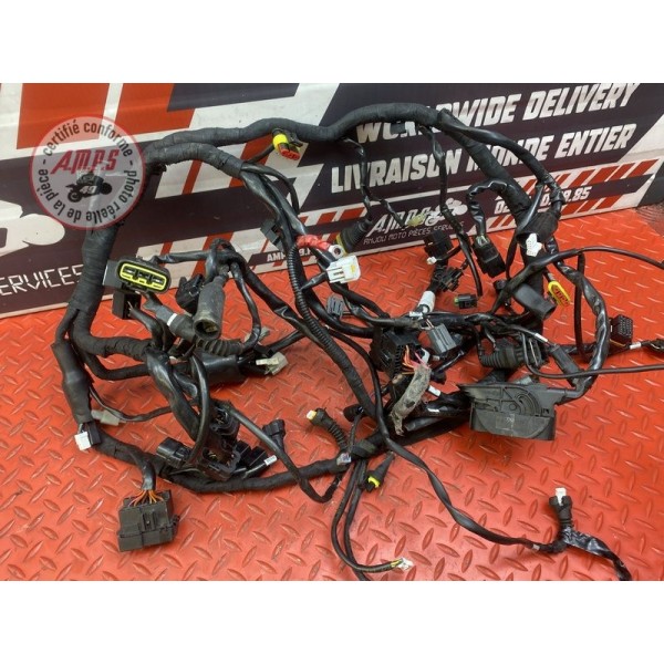 Faisceau électrique principale 