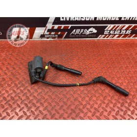 Bobine d'allumage 1-4 