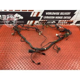 Faisceau électrique principale 