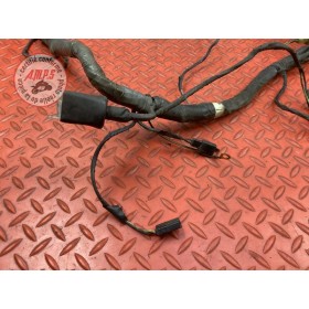 Faisceau électrique principale 