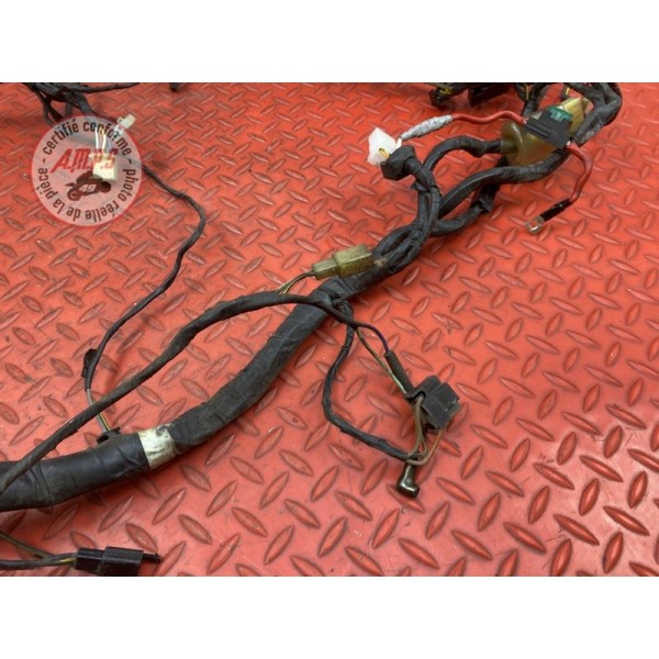 Faisceau électrique principale 