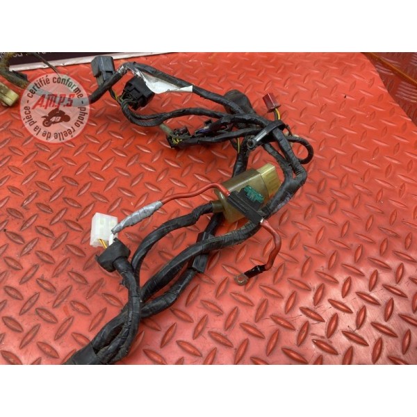 Faisceau électrique principale 