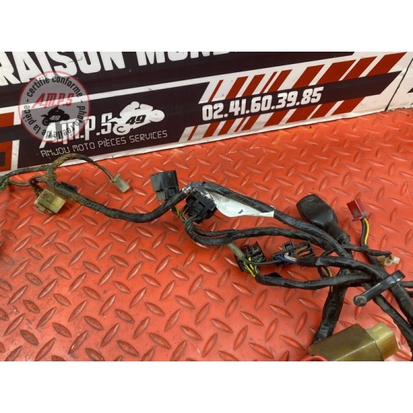 Faisceau électrique principale 