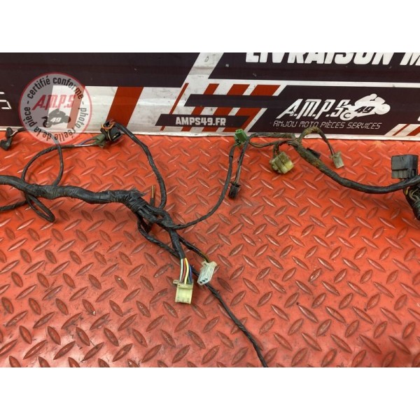 Faisceau électrique principale 