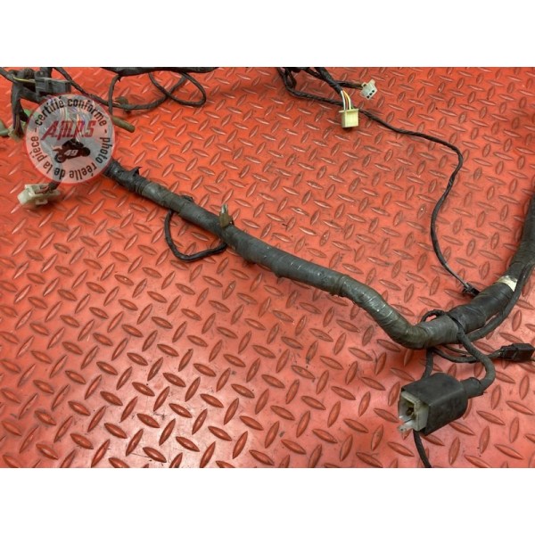 Faisceau électrique principale 