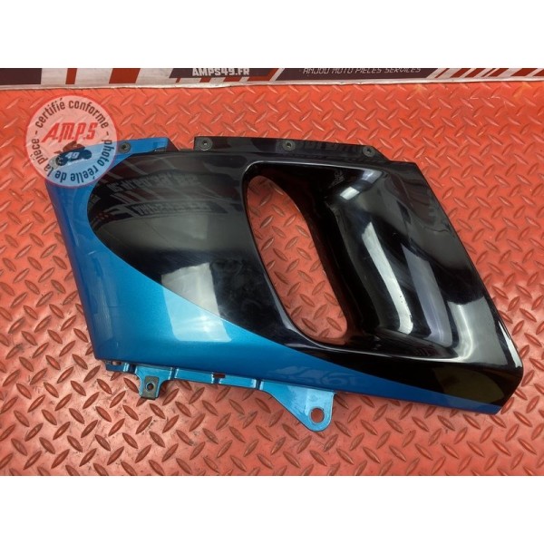 Flanc de carénage gauche 