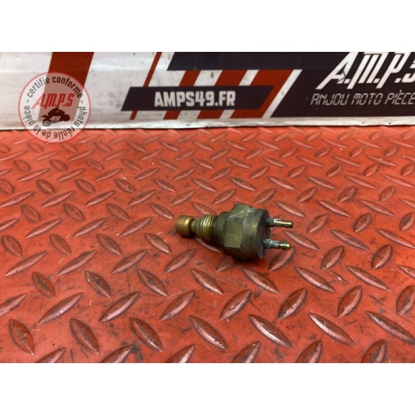 Sonde de température d'eau