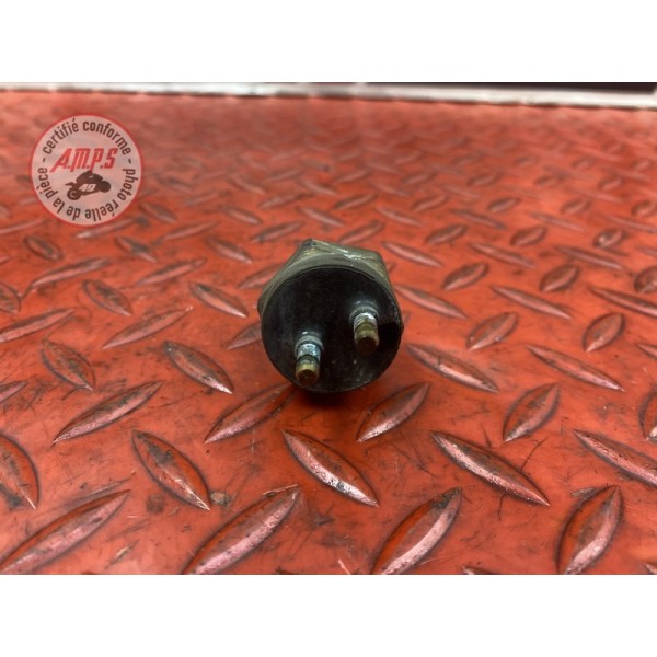 Sonde de température d'eau 