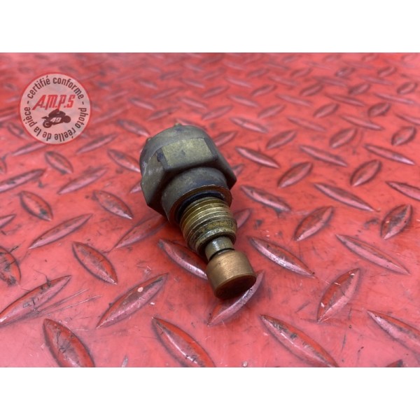 Sonde de température d'eau 