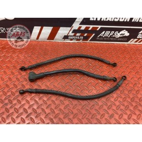 Durite de frein avant