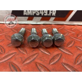 Vis d'étrier de frein avant 