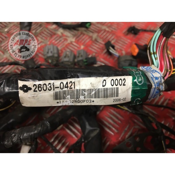 Faisceau électrique principaleER606CL-520-DVB3-A2901805used