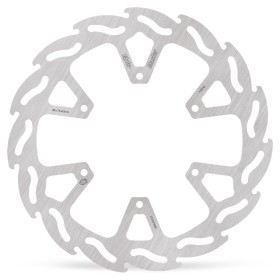 BRAKE DISC FLAME REAR