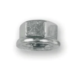 Sachet de 50 écrous pour axe avant V BIKE 8mm