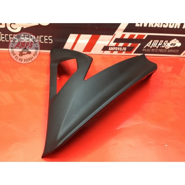 Cache sur flanc de carénage droit 