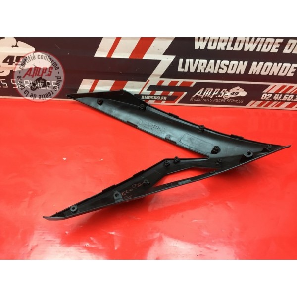 Cache sur flanc de carénage gauche 