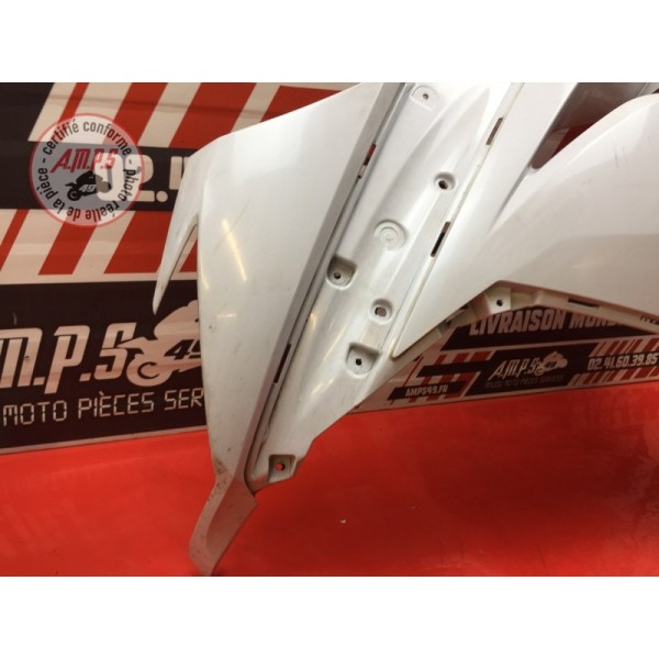 Flanc de carénage gauche 