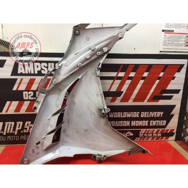 Flanc de carénage gauche 