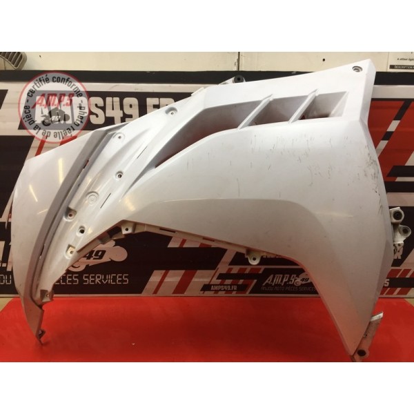 Flanc de carénage gauche 