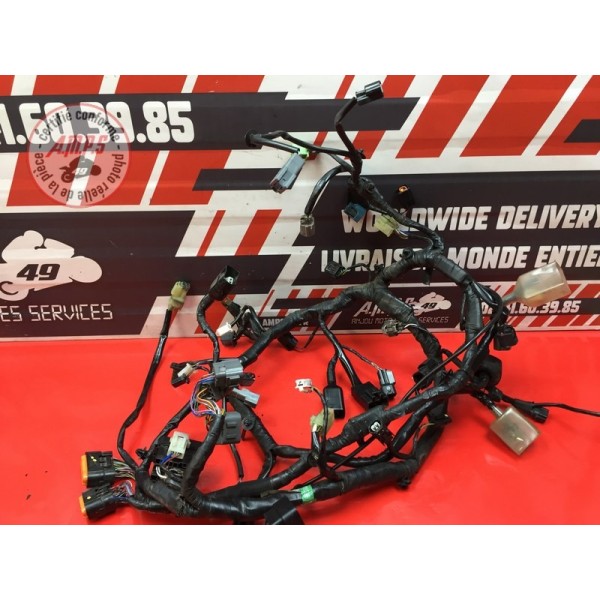 Faisceau électrique principale