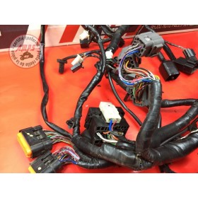 Faisceau électrique principale 