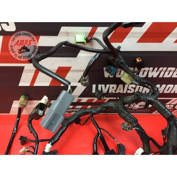 Faisceau électrique principale 