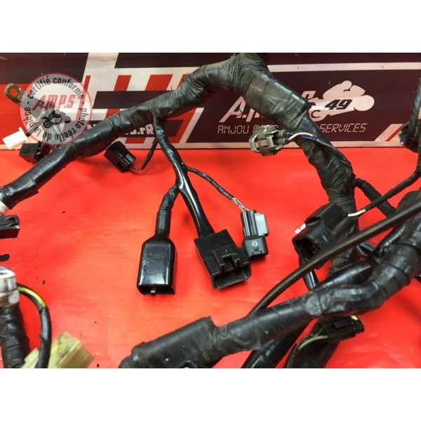 Faisceau électrique principale 