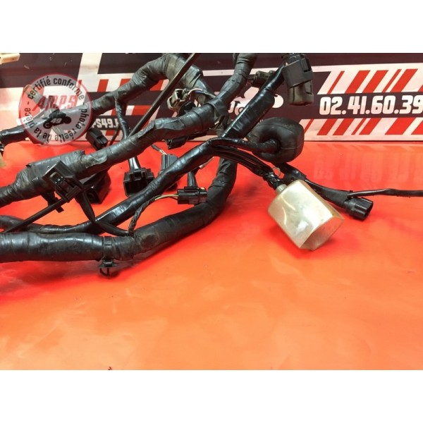 Faisceau électrique principale 