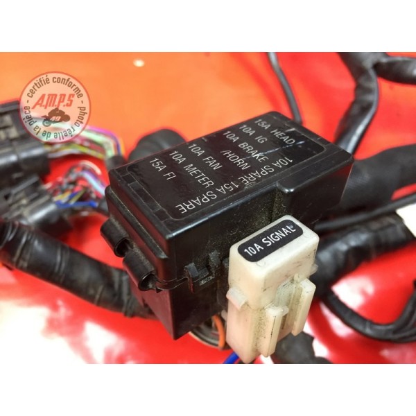 Faisceau électrique principale 