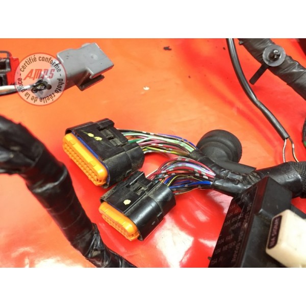 Faisceau électrique principale 