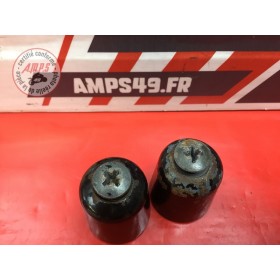 Paire d'embout de guidon 