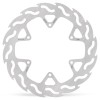 BRAKE DISC FLAME REAR