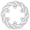 BRAKE DISC FLAME REAR