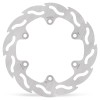 BRAKE DISC FLAME REAR
