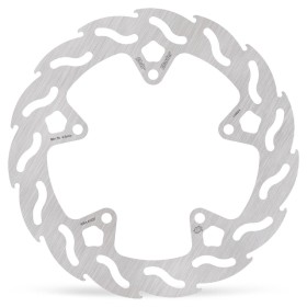 BRAKE DISC FLAME REAR
