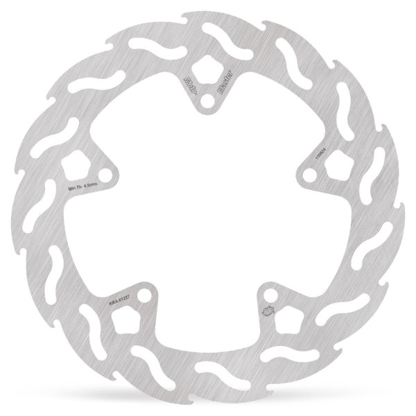 BRAKE DISC FLAME REAR