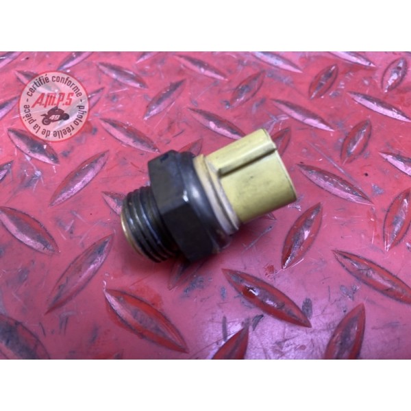 Sonde de radiateur 