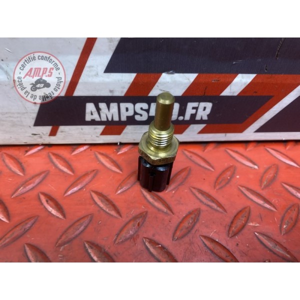 Sonde de température d'eau