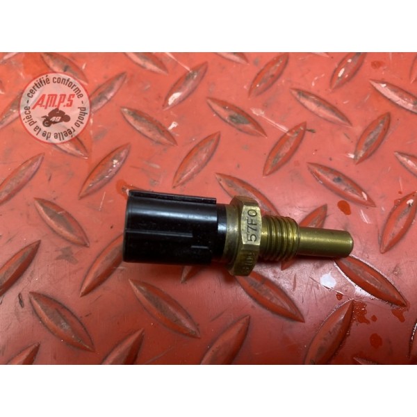 Sonde de température d'eau 