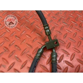 Durite de frein avant 