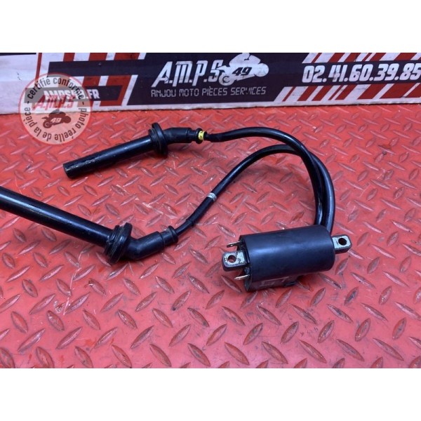 Bobine allumage 1-4 cote gauche 