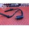 Bobine allumage 1-4 cote gauche 