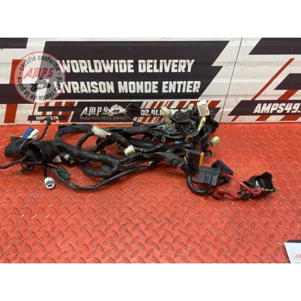 Faisceau électrique principale 