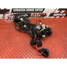 Faisceau électrique principale 