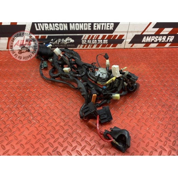 Faisceau électrique principale 