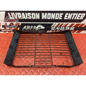 Grille de radiateur 