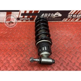 Amortisseur arrière 