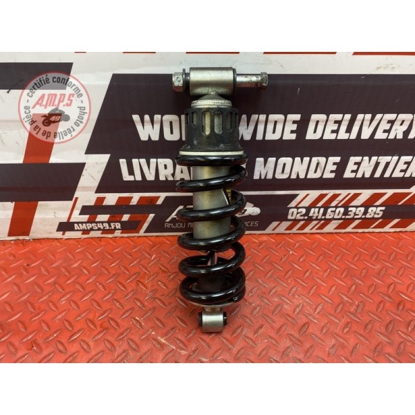 Amortisseur arrière 